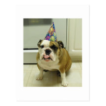 Cumpleaños inglés del dogo tarjetas postales
