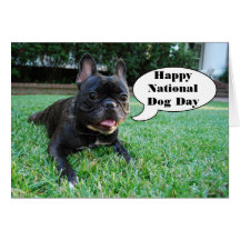 Cumpleaños nacional feliz del dogo francés de la c tarjetas