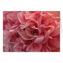 Cumpleaños rosado de los pétalos de la amapola tarjetas