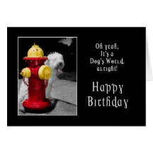 CUMPLEAÑOS - UN PERRO AFORTUNADO - HYDRANT/DOG TARJETÓN