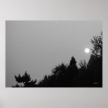 Cumplimiento: Zen de la naturaleza/poster de Tao