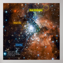 Cúmulo de estrellas NGC 3603 con anotaciones Poster
