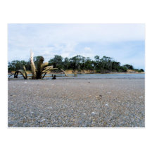 cungulla postal