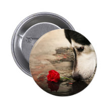 Curiosidad Pin