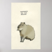 curiosidades del capybara poster