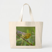 Curruca Bolsa De Mano