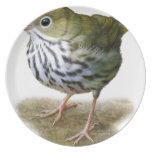 curruca de la camiseta del pájaro del horno birdwa platos