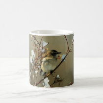 "Curruca en taza de la fotografía del invierno" tazas