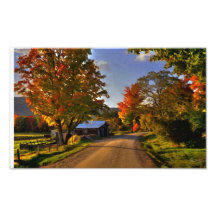Curva en el camino del pantano, Campton, NH Arte Con Fotos