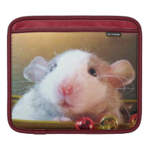 Cutom Porkchop;) Funda Para iPads