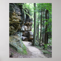 CVNP - Repisas 2010 Impresiones