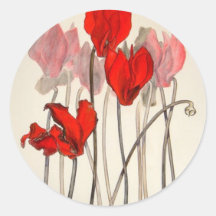 Cyclamens rojos etiquetas  