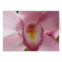 Cymbidium de la lavanda tarjeta