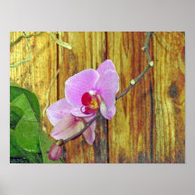 Cymbidiums en la madera impresiones