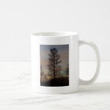 Cypress en la salida del sol tazas de café