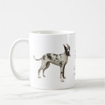 D.A.N.E. TAZA