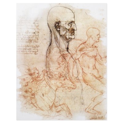 http://rlv.zcache.es/da_vinci_bosquejo_del_hombre_y_del_caballo_folleto-p244517593568328842z85cm_400.jpg