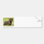 Dachshund 9Y813D-096 Pegatina De Parachoque