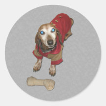 Dachshund con un hueso pegatinas  