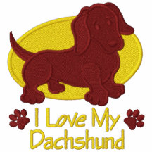 Dachshund del amor