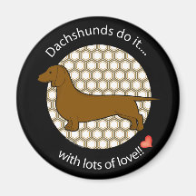 Dachshund del amor imán