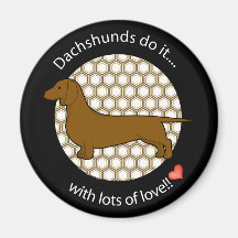 Dachshund del amor imanes  