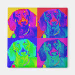 Dachshund del arte de Op. Sys. Imanes