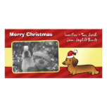 Dachshund del navidad (de pelo largo) tarjetas fotográficas personalizadas