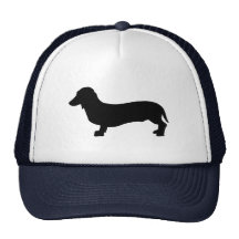 Dachshund del perro gorra