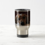 Dachshund miniatura tazas