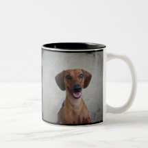 Dachshund miniatura tazas de café