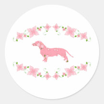 Dachshund Pegatina