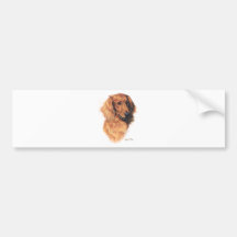 Dachshund Pegatina De Parachoque
