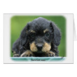 Dachshund Tarjetón