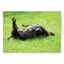 Dachshund - TGIF Tarjeta