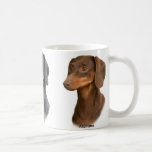 Dachshunds Aliana Arabella Albruna Tazas De Café