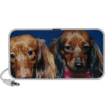 Dachshunds iPhone Altavoces