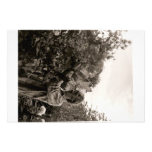 Dahliias Fotografia