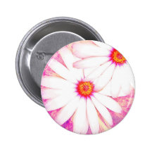 daized pins