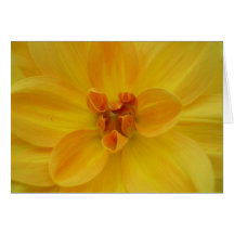 Dalia amarilla felicitación