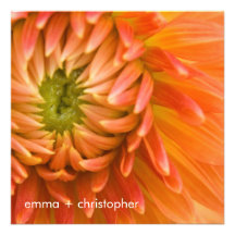 Dalia anaranjada DSC4447 Comunicado Personalizado