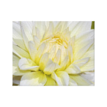 Dalia blanca divina impresion en lona