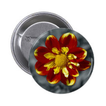 Dalia Pins