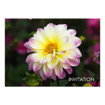 Dalia púrpura, amarilla y blanca invitación personalizada