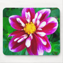 Dalia rosada - Mousepad Tapetes De Ratón