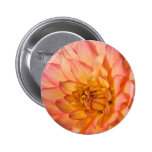 Dalia rosada y amarilla pins