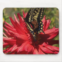 Dalia y mariposa de monarca Mousepad Alfombrilla De Ratón