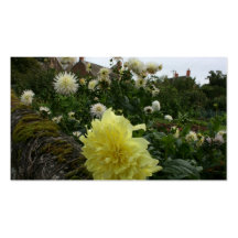 Dalias en jardín de la cabaña tarjetas de visita