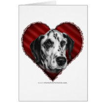 Dalmatian con el corazón tarjetas