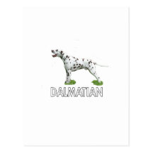 Dalmatian Postal